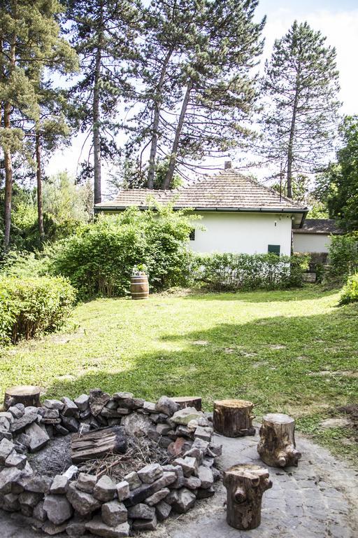 Teraszhaz Zebegeny Villa Екстериор снимка